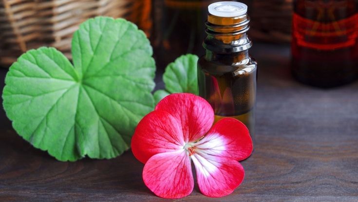 Geranium oil