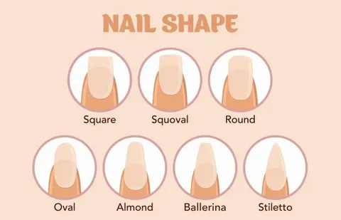 Nail Shapes and Lengths