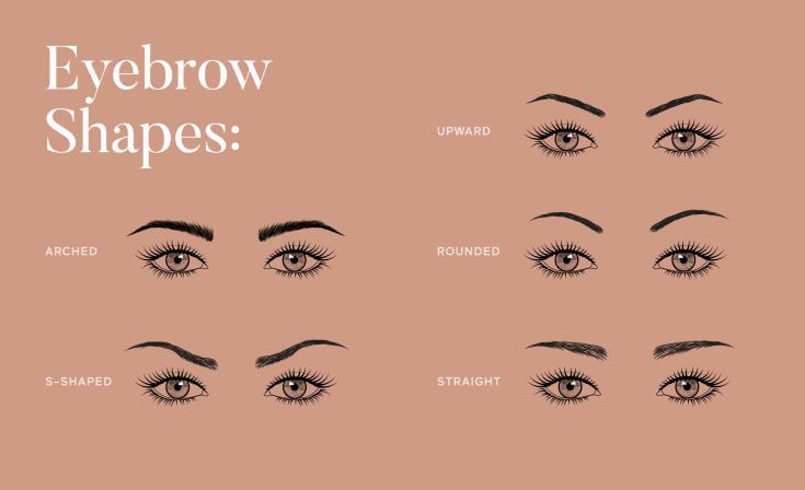  Eyebrow Shapes