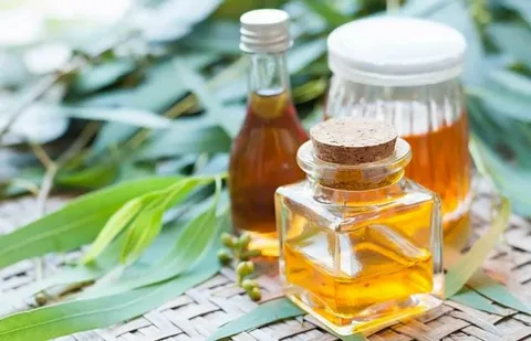 Eucalyptus Oil