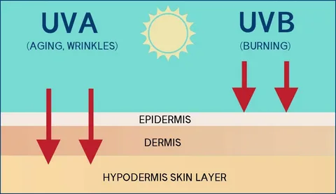 The Two Types of UV Rays UVA and UV