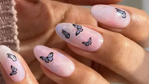 Pastel Butterfly Designs